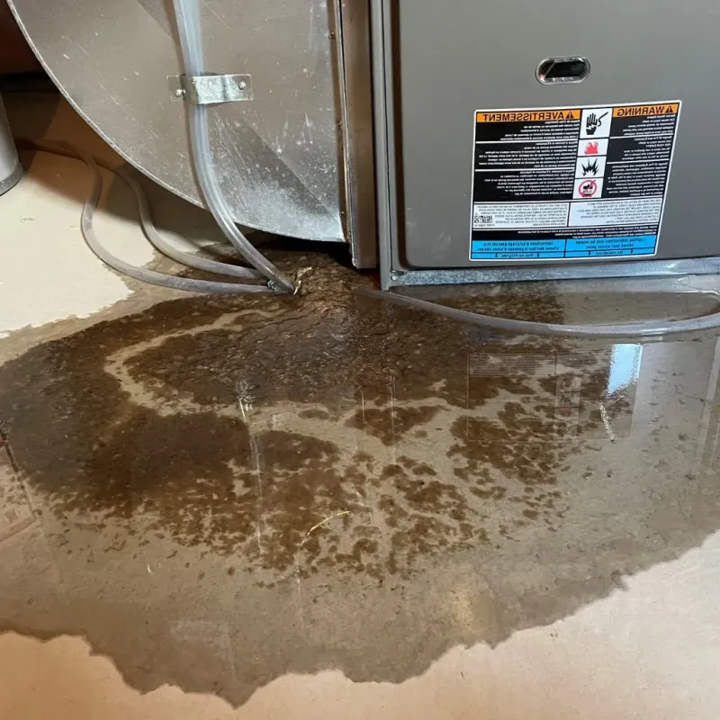 Pipe Burst and Leak Restoration in Middletown, CT