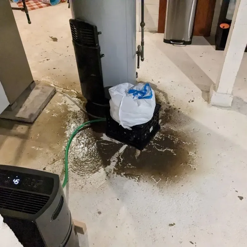 Sewage Backup Cleanup Service in Middletown, CT